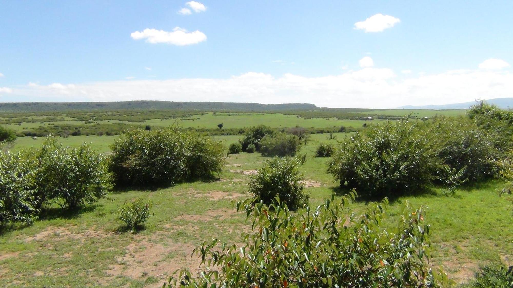 Narasha Homestay - Maasai Mara Talek Room photo